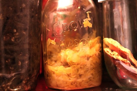sauerkraut-in-fridge sauerkraut-in-fridge