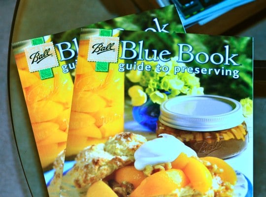 blue book picture blue book picture