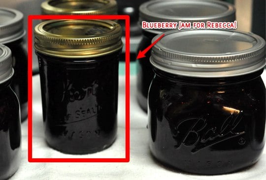 blueberry jam winner